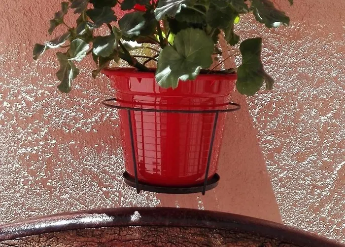 La Casa Madrona-completa *